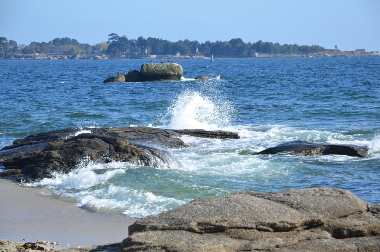 Votre Vue, La Mer, Les Bateaux !!! Wir Sprechen Flieben Deutsch, Touristentipps, We Speak English Concarneau Eksteriør billede